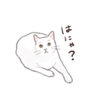 しろねこしろぴ2（個別スタンプ：10）