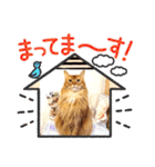 おトノ様のスタンプ2（個別スタンプ：12）