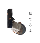 森照Jr（個別スタンプ：6）