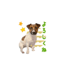 マイロの毎日。（個別スタンプ：1）