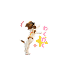 マイロの毎日。（個別スタンプ：5）