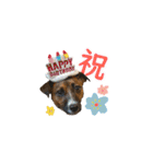 マイロの毎日。（個別スタンプ：24）