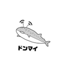 Wi-Fi族のスタンプ2（個別スタンプ：12）