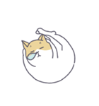 猫のムミと仲間たち（個別スタンプ：1）