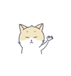 猫のムミと仲間たち（個別スタンプ：19）