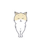 猫のムミと仲間たち（個別スタンプ：20）
