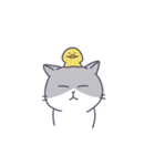 猫のムミと仲間たち（個別スタンプ：24）