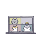 猫のムミと仲間たち（個別スタンプ：29）