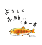 釣り人のためのお魚スタンプ（個別スタンプ：34）