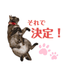 かぎさんと紫苑 9（個別スタンプ：7）