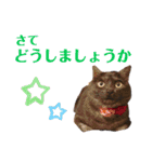 かぎさんと紫苑 9（個別スタンプ：8）