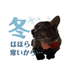 かぎさんと紫苑 9（個別スタンプ：12）