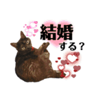 かぎさんと紫苑 9（個別スタンプ：16）