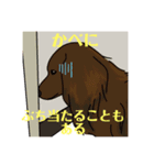 うちのチャチャラ（個別スタンプ：2）