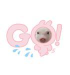 三隻小豬lechon（個別スタンプ：10）