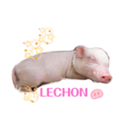 三隻小豬lechon（個別スタンプ：12）