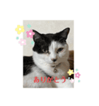 茶とみとパン屋のまま（個別スタンプ：5）