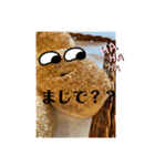 茶とみとパン屋のまま（個別スタンプ：8）