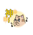 モフねこの春（個別スタンプ：10）