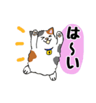 モフねこの春（個別スタンプ：14）