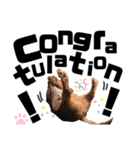 らぶぞぅx（個別スタンプ：1）