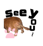 らぶぞぅx（個別スタンプ：2）