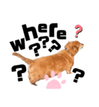 らぶぞぅx（個別スタンプ：5）