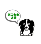 たれ耳ボーダーです（個別スタンプ：1）