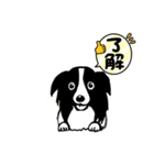 たれ耳ボーダーです（個別スタンプ：3）