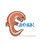 〜ニシアフ日常〜（個別スタンプ：17）
