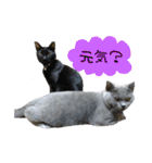 むさし＆ぼんちゃん（個別スタンプ：2）