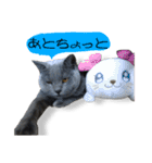 むさし＆ぼんちゃん（個別スタンプ：24）