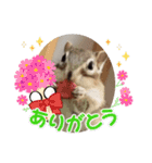 みんなと一緒18（個別スタンプ：2）