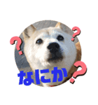 みんなと一緒18（個別スタンプ：6）