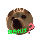 みんなと一緒18（個別スタンプ：10）