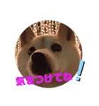 みんなと一緒18（個別スタンプ：12）