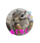 みんなと一緒18（個別スタンプ：15）