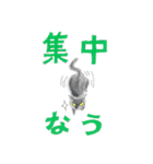 まりも・めかぶ・こんぶすたんぷ！8（個別スタンプ：9）