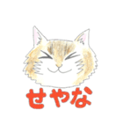 まりも・めかぶ・こんぶすたんぷ！8（個別スタンプ：12）