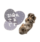 たけやまさんちのありすちゃん（個別スタンプ：6）