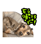 たけやまさんちのありすちゃん（個別スタンプ：7）