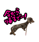 たけやまさんちのありすちゃん（個別スタンプ：8）