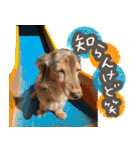 たけやまさんちのありすちゃん（個別スタンプ：16）