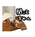たけやまさんちのありすちゃん（個別スタンプ：18）