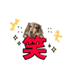 たけやまさんちのありすちゃん（個別スタンプ：24）