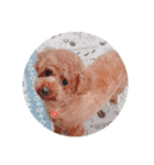 写真だけの犬（個別スタンプ：8）