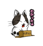 日常会話でよく使う？猫スタンプ（個別スタンプ：12）