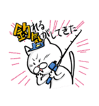 全釣り人に捧げる、まあまあかわいい猫（個別スタンプ：17）