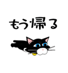 ✨吾輩は多分猫[動く]くろねこ100％（個別スタンプ：19）