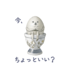 たまごのはなし（個別スタンプ：1）